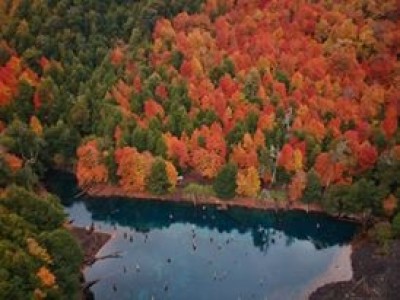 Safari Otoño en la Araucanía 2019